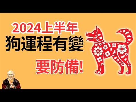 1982屬狗十年運勢|【1982屬狗十年運勢】1982屬狗十年大運預測：41歲後將迎來人。